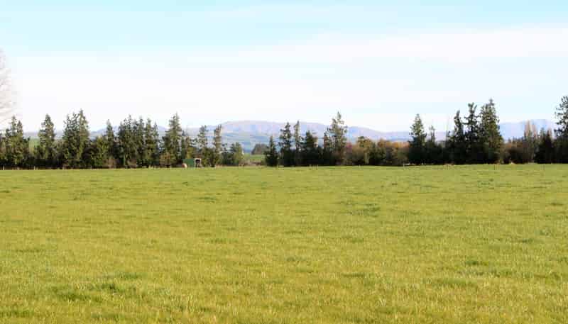  Totara Valley Road, Pleasant Point