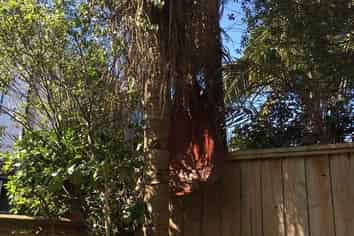 21 Hunters Park Drive, Three Kings