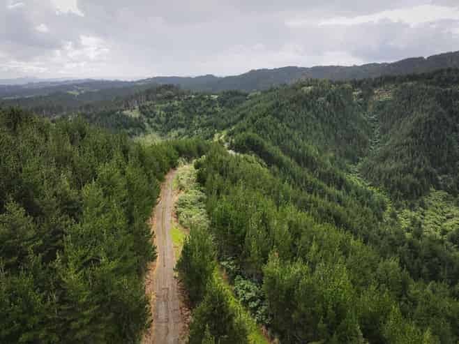  Mount Tiger Road, Whareora