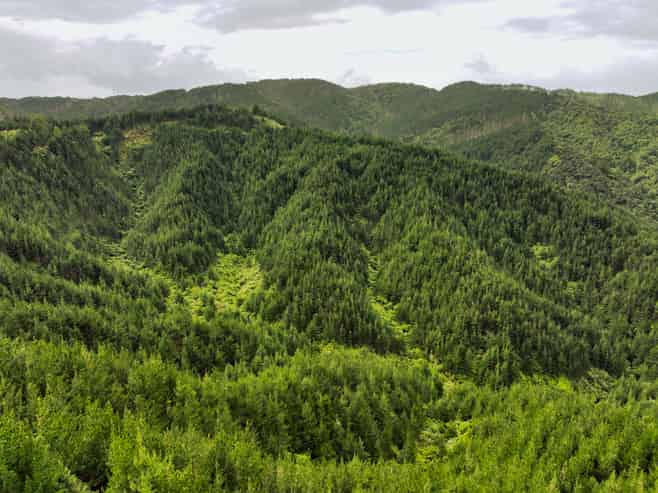  Mount Tiger Road, Whareora