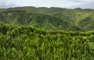  Mount Tiger Road, Whareora