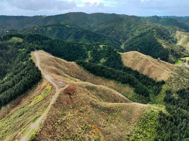  Mount Tiger Road, Whareora