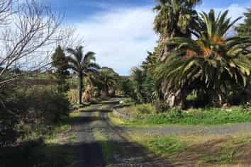 28 Friedlander Road, Tuakau