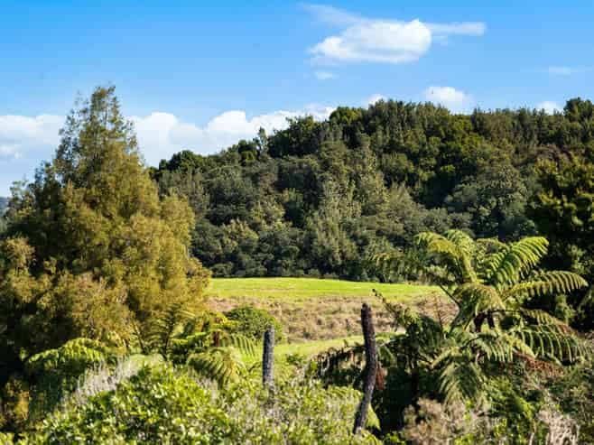 4 Nandina Lane, Pukekohe