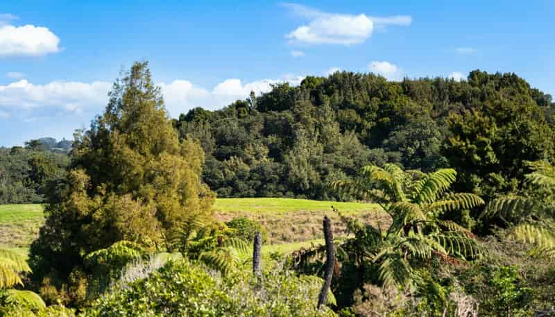 4 Nandina Lane, Pukekohe