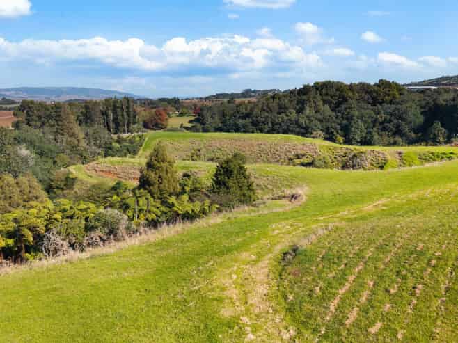 4 Nandina Lane, Pukekohe