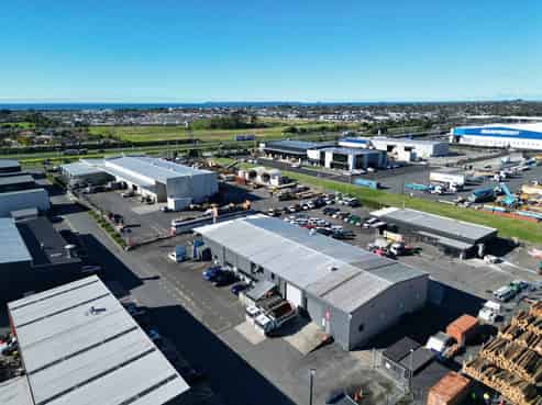 Versatile blank canvas, Mount Maunganui