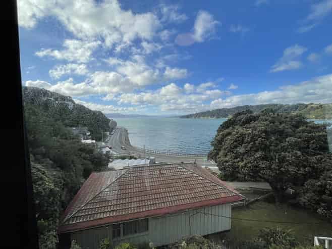 B/17 Kio Road, Hataitai