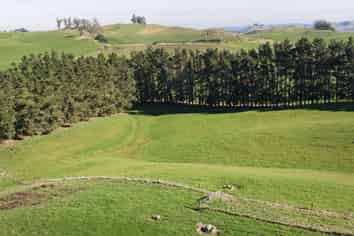 Lot 2/84 Tod Road, Otane
