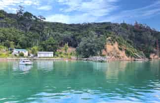 219-222/DP7675 Bon Accord Harbour, Kawau Island