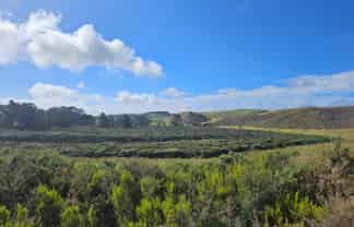 1 Basin Road, Dargaville