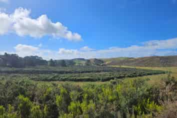 1 Basin Road, Dargaville