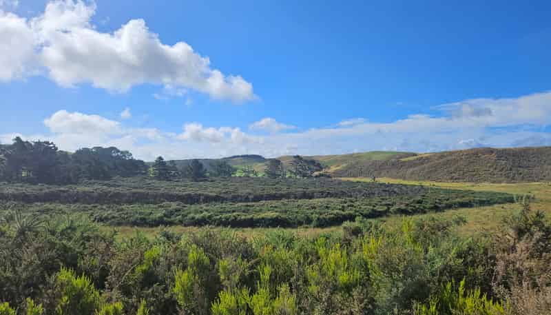 1 Basin Road, Dargaville