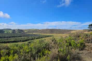 1 Basin Road, Dargaville