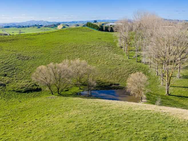 12 Homewood Road, Waipawa