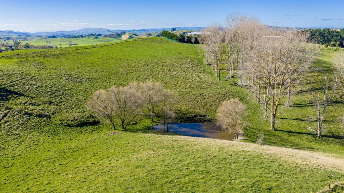Lifestyle, Landbank or Development Opportunity. - Ansicht 5