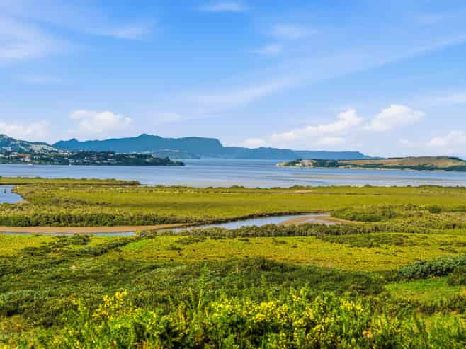 30 Toetoe Road, Otaika