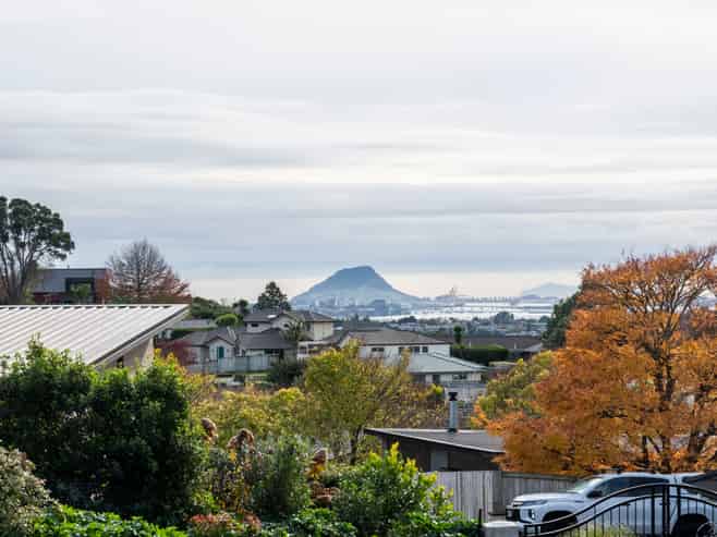 48 Buxton Place, Ohauiti