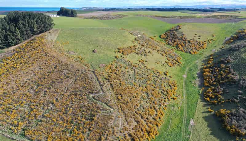 Lot 3 207 Georgetown-Pukeuri Road, Oamaru