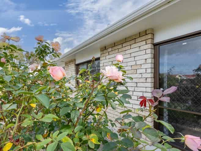 6 McKenzie Place, Dargaville
