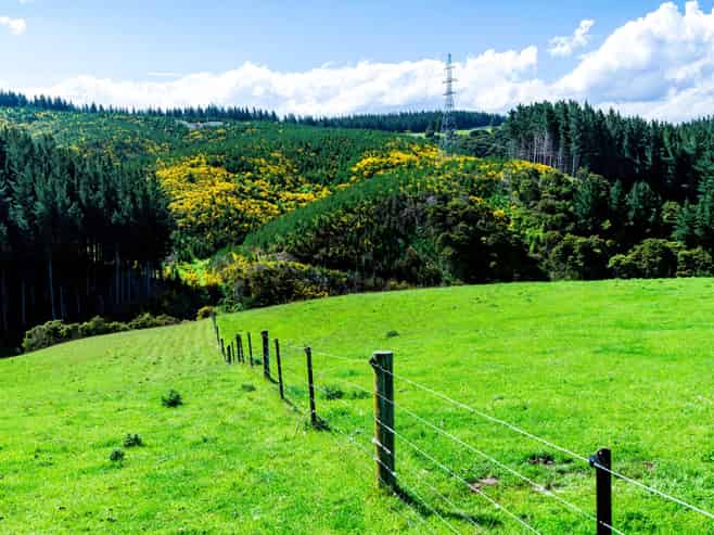  Waihola Hill Road, Clarendon