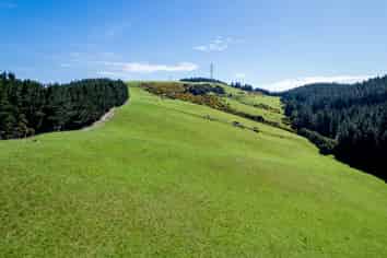  Waihola Hill Road, Clarendon