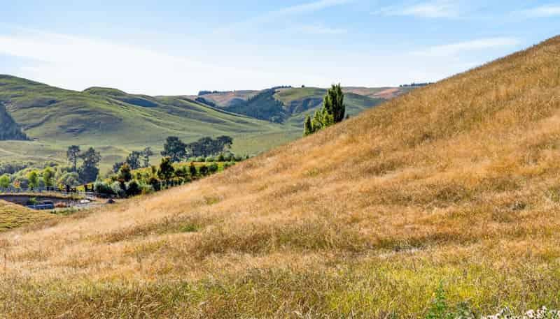 Lot 2, 741 Matapiro Road, Crownthorpe