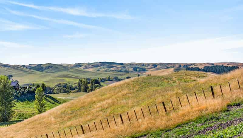 Lot 2, 741 Matapiro Road, Crownthorpe