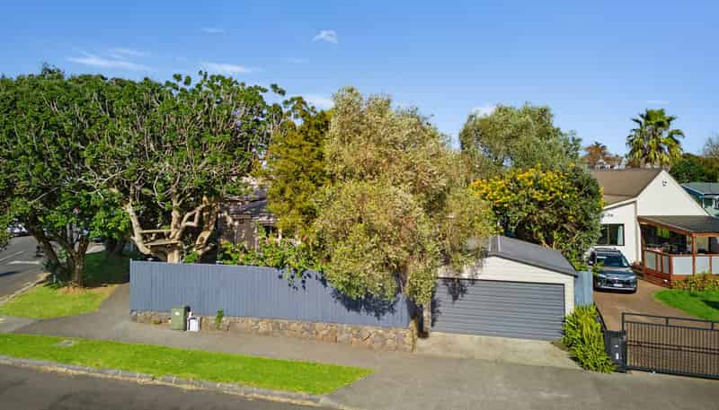 102 Alfred Street, Onehunga