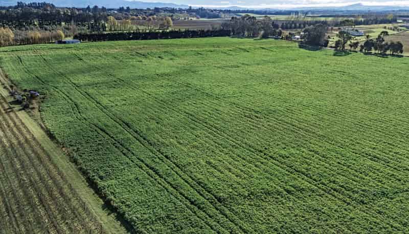 20 Dakins Road, East Taratahi