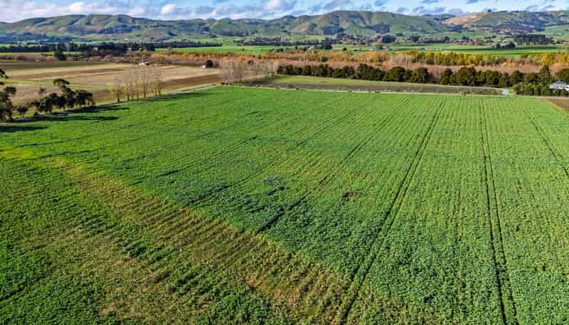 20 Dakins Road, East Taratahi