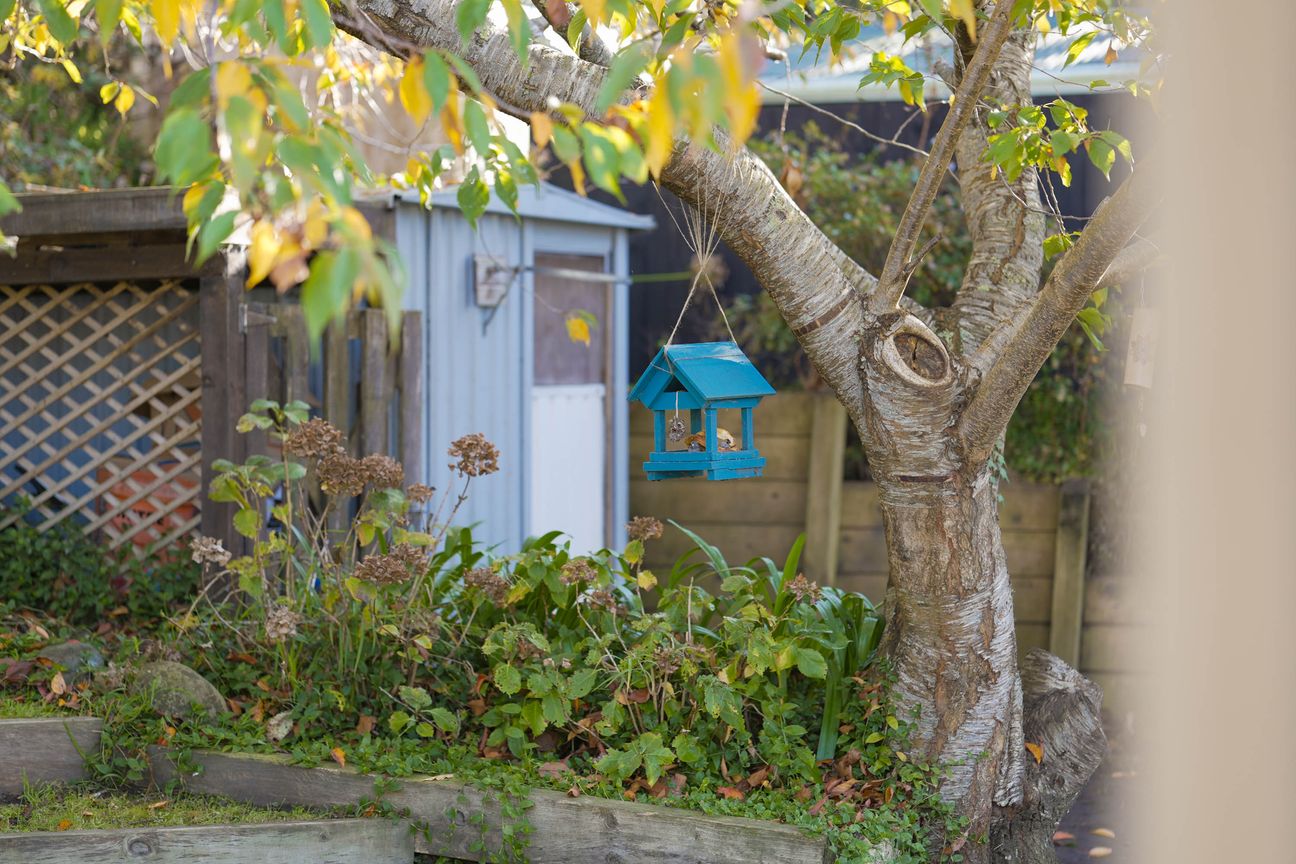 Your Raumati South Story Starts Here - Altro