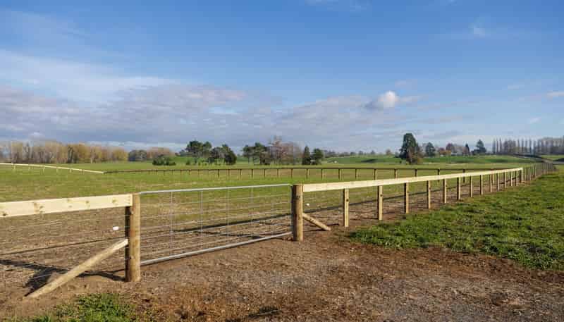  Smith Road, Te Poi, Matamata