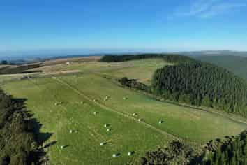 123 Chaplin Road, Taieri Mouth