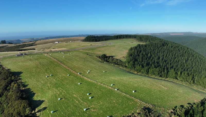 123 Chaplin Road, Taieri Mouth