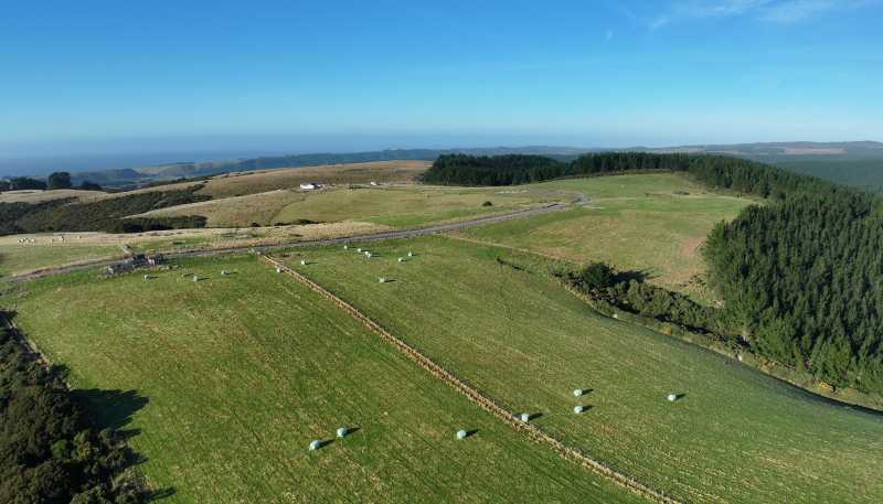 123 Chaplin Road, Taieri Mouth
