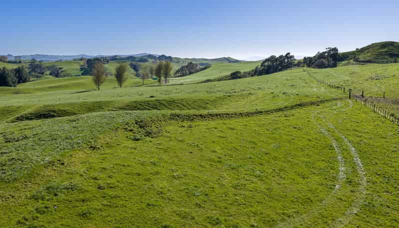 Lot 1, 542 and 54 Paparamu Road, Tirau