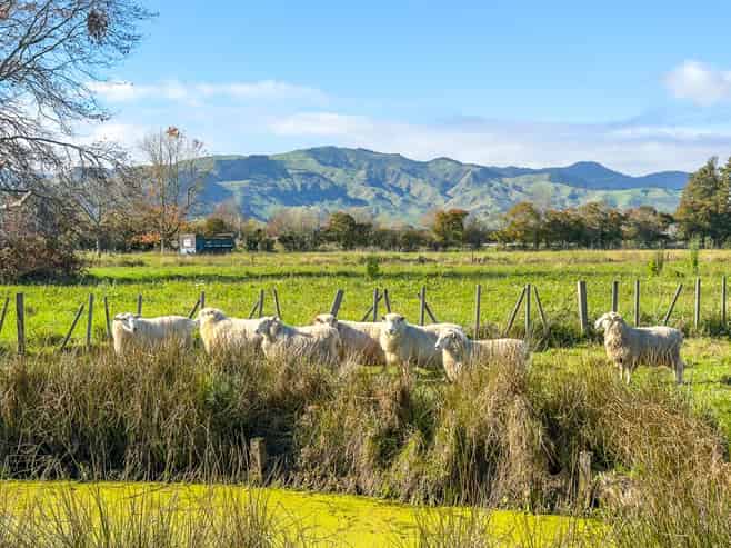 6736 Wilson Road, Paeroa
