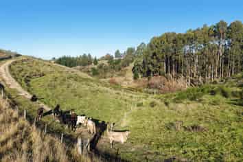 3 Mackenzie Point Rise, Oamaru
