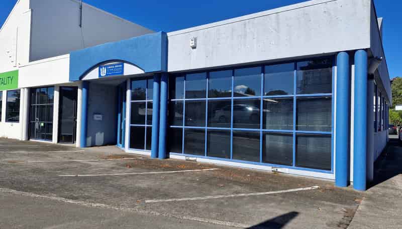 219 Collingwood Street, Hamilton Central