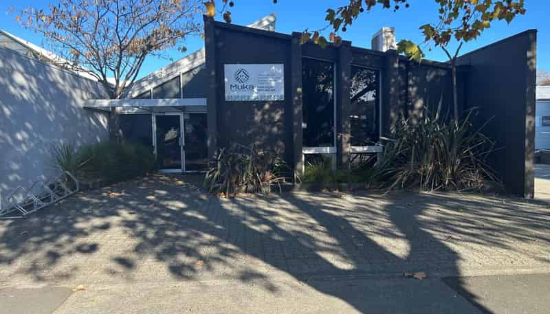 100 Raffles Street, Napier South
