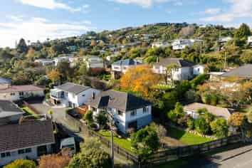 1/3 Douglas Road, Wakatu