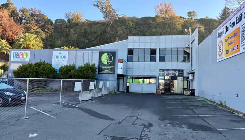 17 Carlyle Street, Napier South
