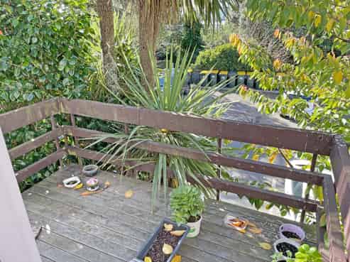 V/28 Bidwill Street, Mount Cook