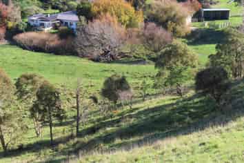 54 Tuturewa Road, Dannevirke