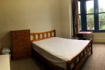 Room 8 / 3 Union Street, North Dunedin