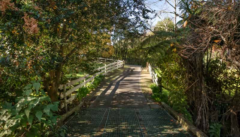 449 Kauaeranga Valley Rd, Thames