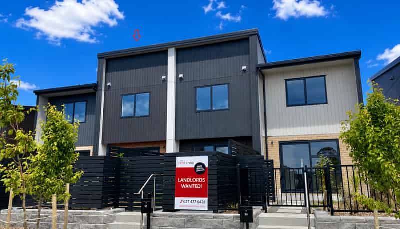 41 Selo Street, Glen Eden