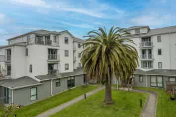 5C/13 Palm Grove, Berhampore