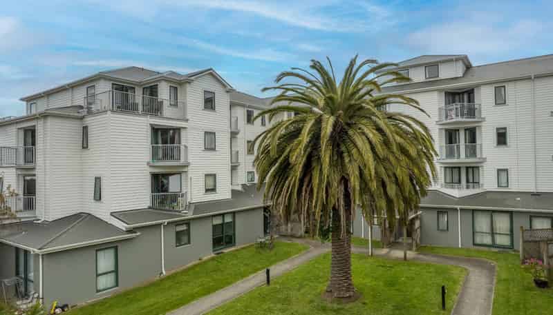 5C/13 Palm Grove, Berhampore